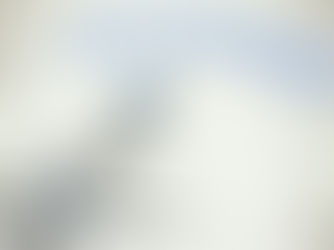 Why The Diaspora Should Investment In Insurance