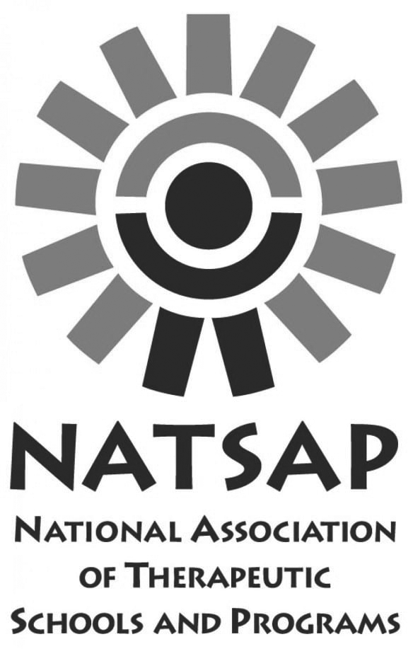 natsap_logo-gray.gif