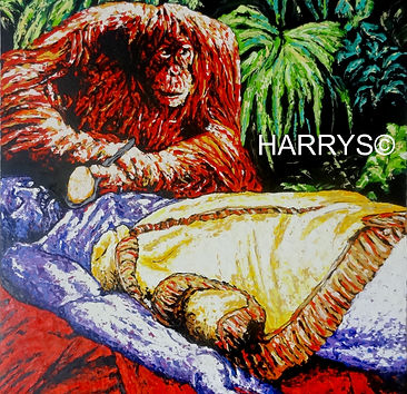 HARRYS HARRY'S HARRY