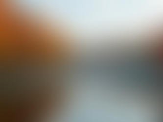 Top Spots for Birdwatching in Indiana This Fall and Understanding Footjobs