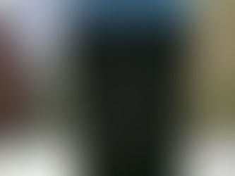 The Brinkmann Smoker