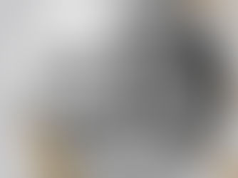 Carátula del blog. Horóscopo de la Luna Llena en Géminis