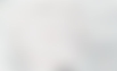 TFR Meeting at Clarence Dillon Library 3 April 2025