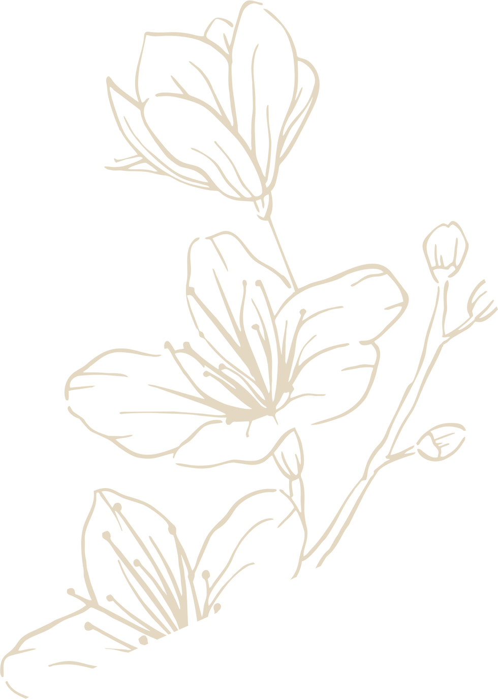 flor.png
