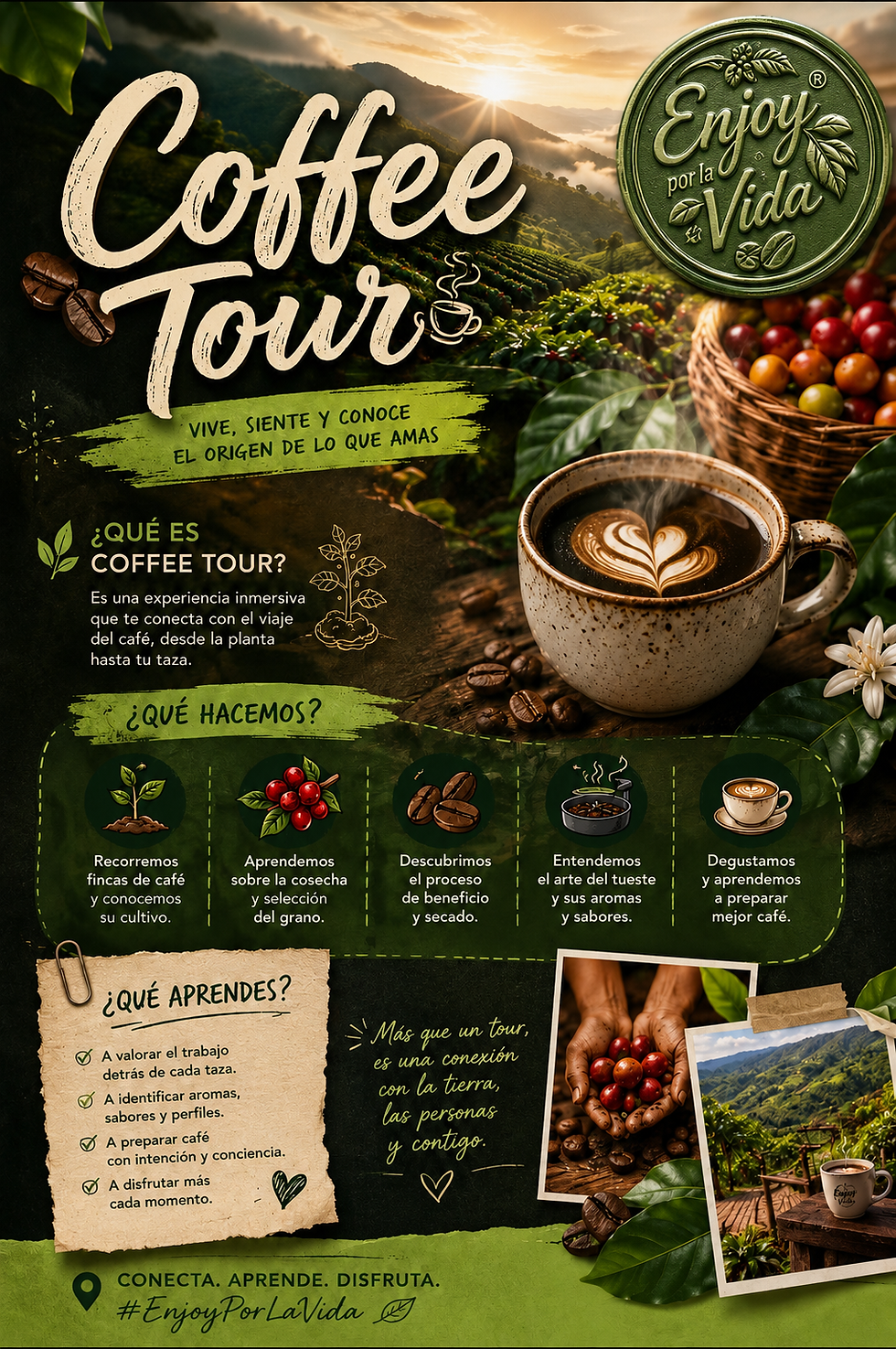 Coffee tour