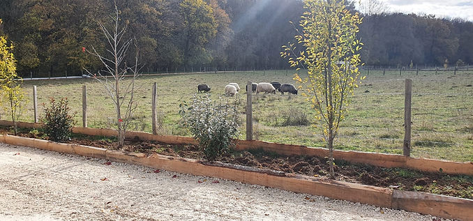 parc animalier domaine de revert