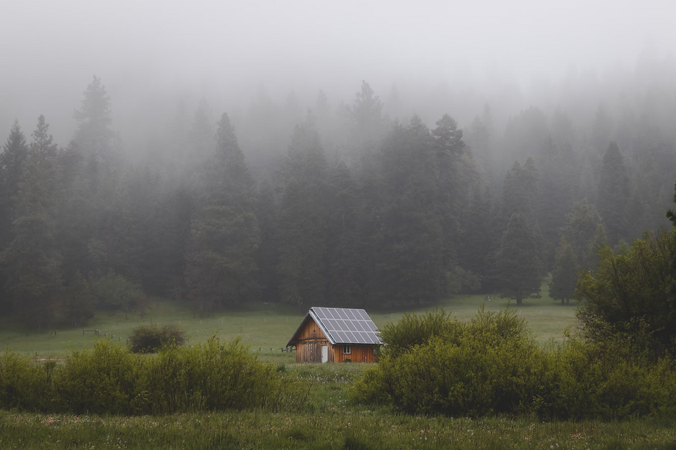image 17