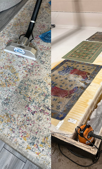 Area Rug Cleaning In Home Vs. Rug Shop.png
