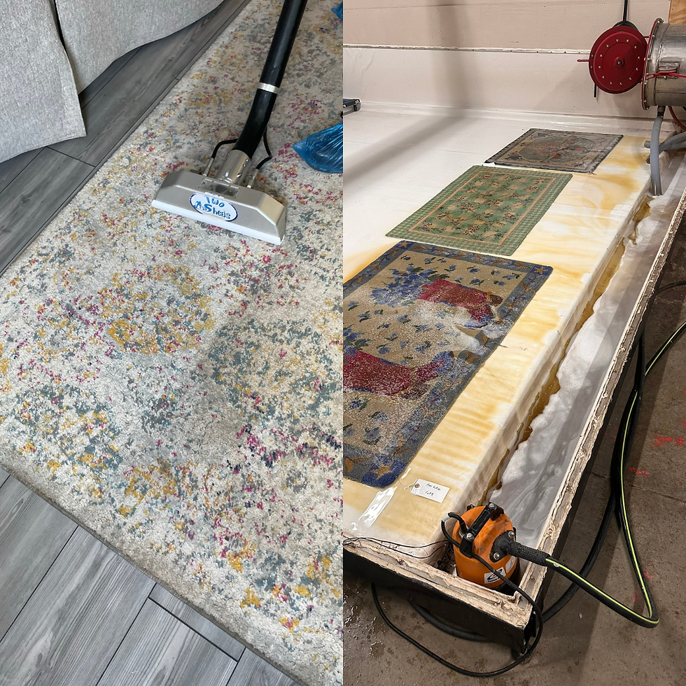 Area Rug Cleaning, In-home or rug shop cleaning
