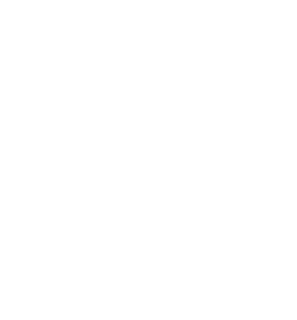 expertise icon.png