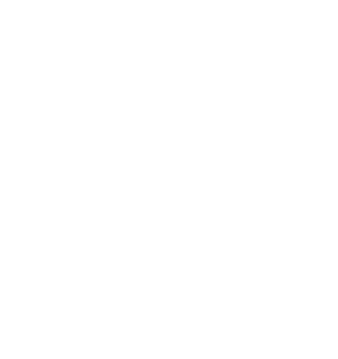 compliance icon.png