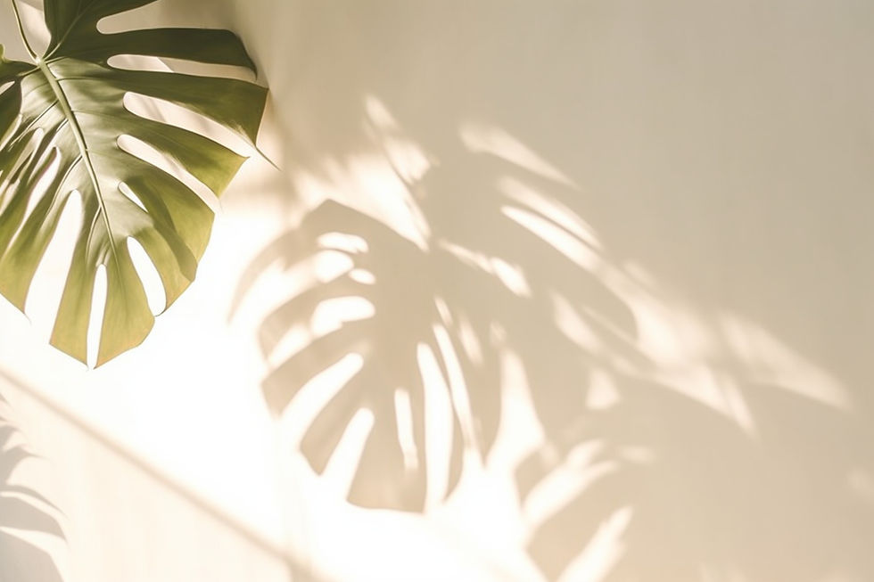 background-with-shadow-plants-shadow-monstera-from-sun-wall-paper-wallp.jpg