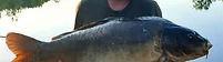 Adam Bierman, 69lb 2oz, krill