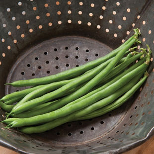 Slender, deep green pods are exceptionally tender and delicious. 2 plants per pot, plant 12" apart.