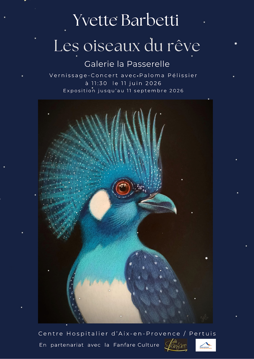 Expo - Concert - Les oiseaux du rêve
