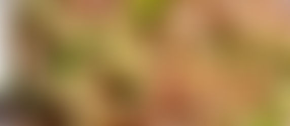 Ensalada de quinoa a la estillo thailandese