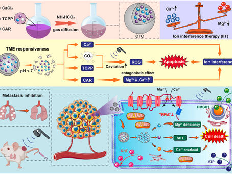 Introducing Anti-Orbital Ionic Calcium Carbonate: A Breakthrough in Calcium Homeostasis and Chronic Disease Management