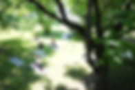 3a177a8b-fdf1-4d8c-875f-7c8d585f46ca