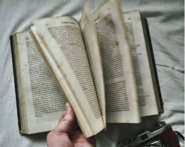 folheando-livro-gif-dicas-para-limpar-conservar-livros-mademoisellelovesbooks.gif