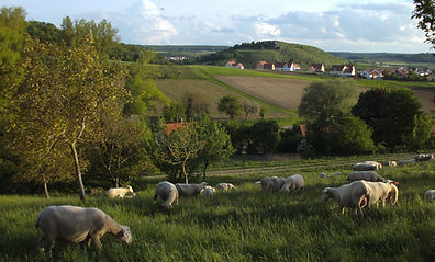 PICT0692.JPG