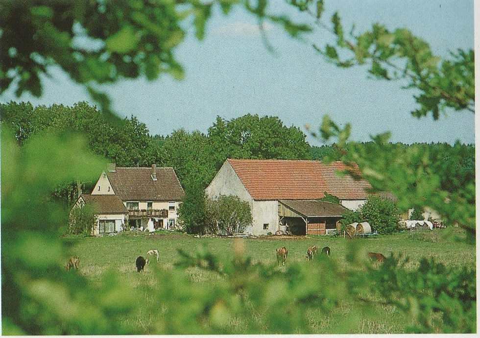 Neumühle von Süden um 1990.jpeg