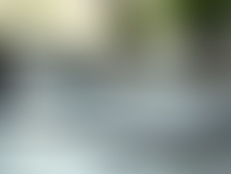 Dịch vụ chuyên nghiệp cho doanh nghiệp của bạn