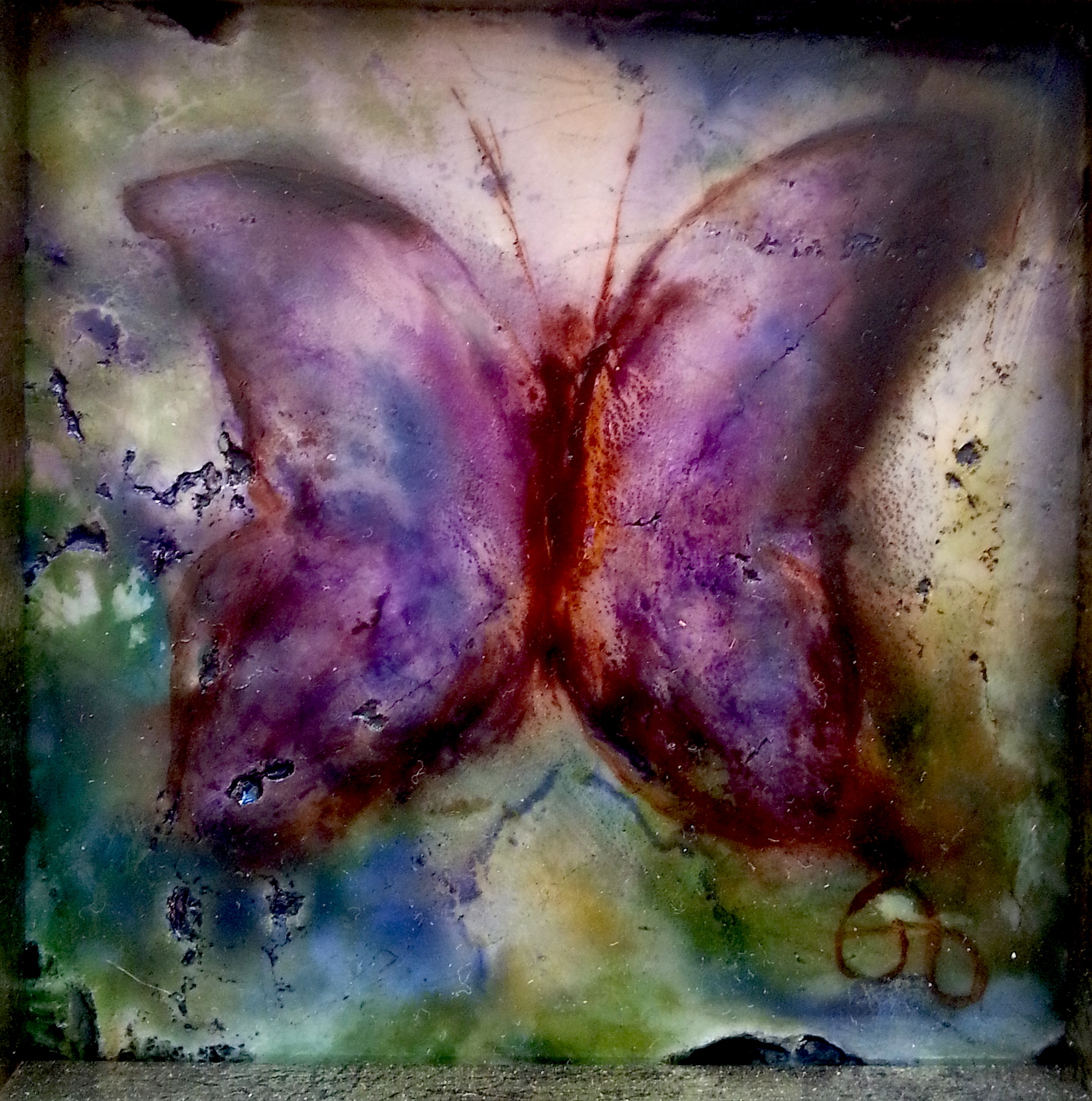 Butterfly1
