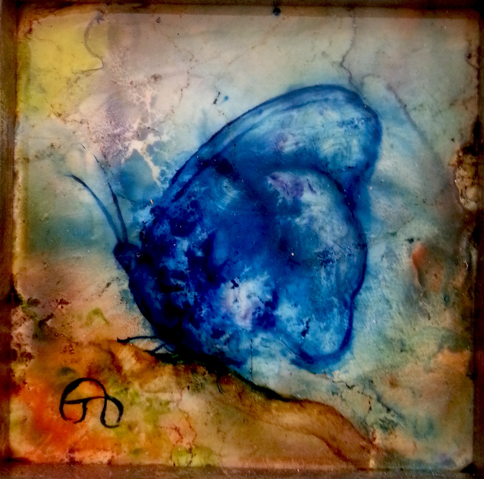 butterfly2