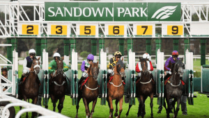 Big race of the day: Sandown mile