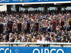 Tips of the day: 16 aprile