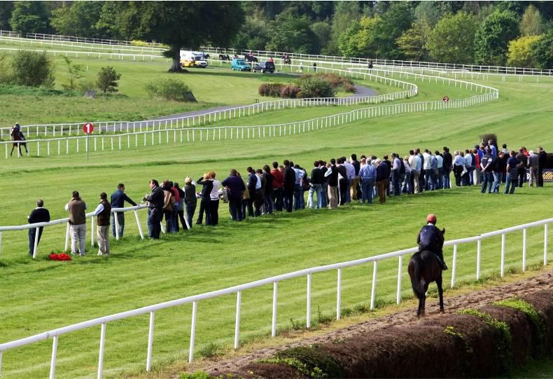 GORESBRIDGE BREEZEUP SALES ANALISI