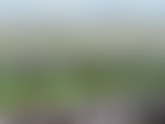 Big race of the day: Prix Sigy