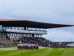 Big race of the day: Alleged Stakes