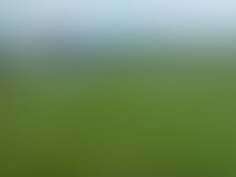 Big race of the day: Jockey Club Stakes