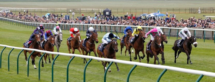 Antepost: 1000 Guineas 2026