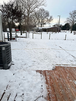 Future Garden site