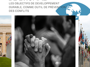Conference at the UN in Geneva, March 27 and Signing of a Manifesto with 50 Organizations