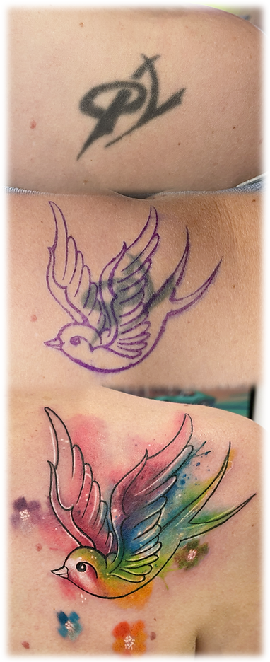 cover up bird.png