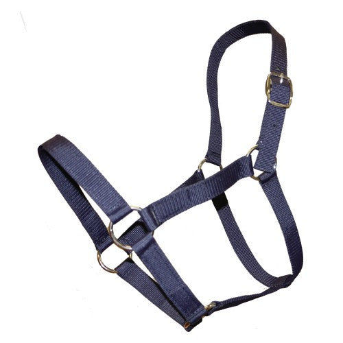 Thumbnail: Rancher Stable Halter