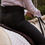 Thumbnail: Ride Proud Equitation Pant