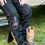 Thumbnail: Gypsy Cob Pant Black & Pink WINTER