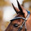 Thumbnail: Lumiere Swarovski Crystal Browband WB