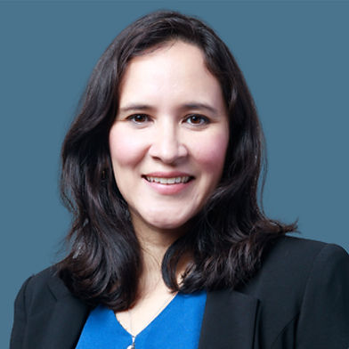 Associate Professor Dr. Yasmin Kamarudin