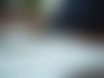 Iliana Campos Law: Expert Immigration Guidance