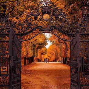 Songs To Fall For