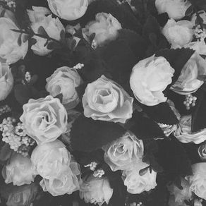 A Poem Of Her