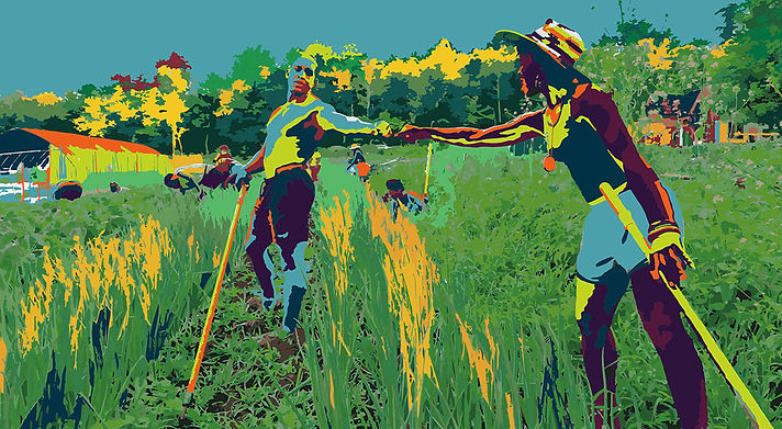FarmingWhileBlack_cover_lores+cropped.jp