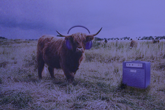 Screen-Shot-2018-08-30-at-10.18.15-AM.jp