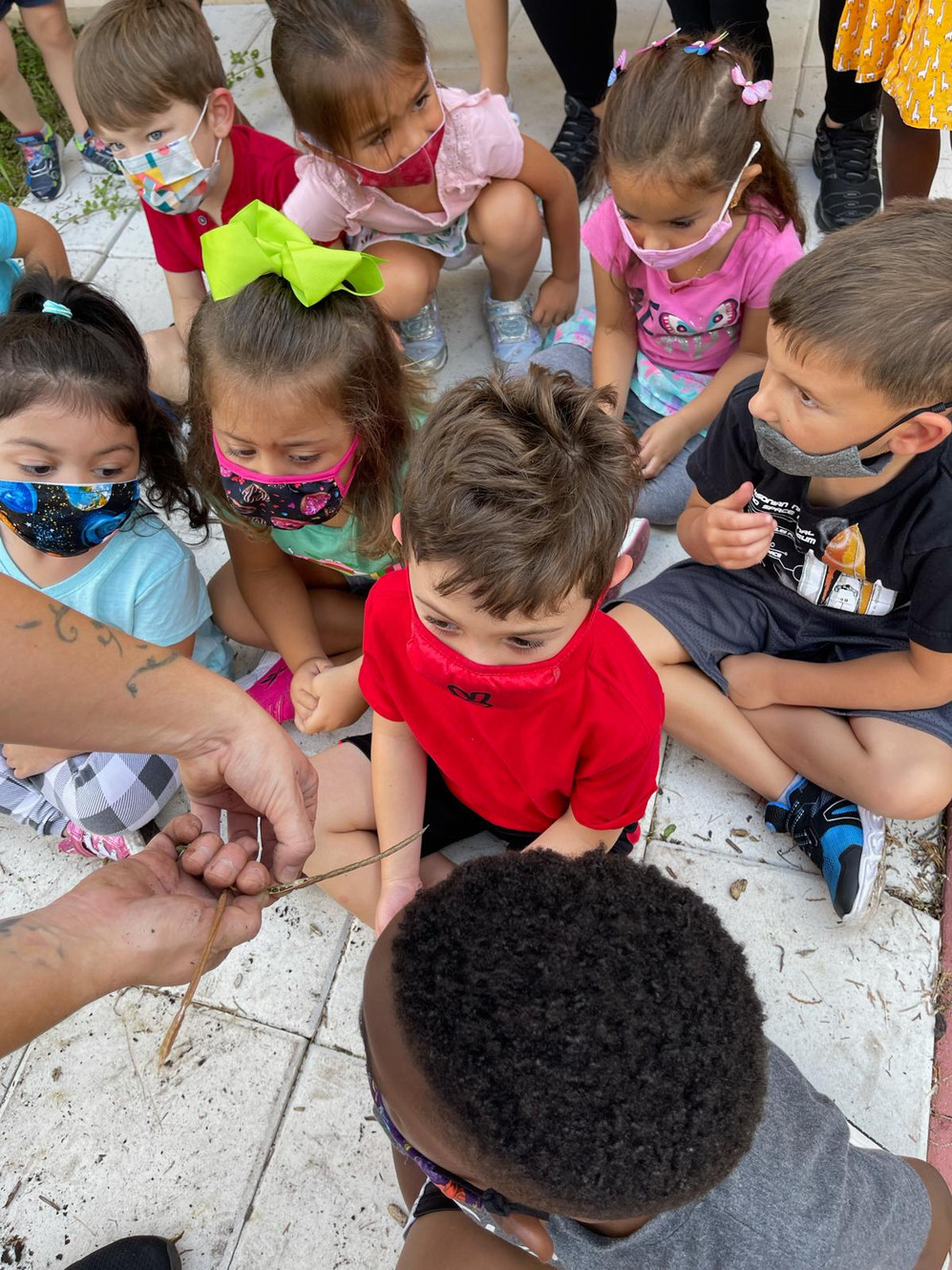 Summer Camp Tbtst Early Childhood Education Tamarac
