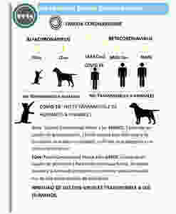 Diferencias entre los coronavirus que afectan a las mascotas y a los humanos.
